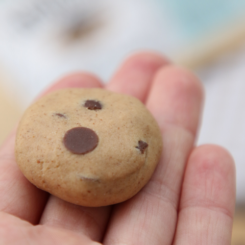 Cookie Dough NomNoms- Protein Bites – Chocolat Chip, bio, vegan mit Bio-Erythrit und Bio Erbsenprotein