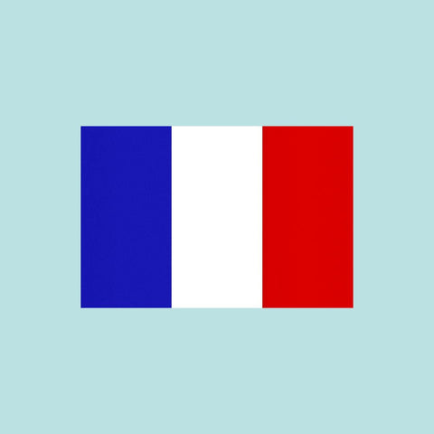 Paleo Baking Mix: French instructions