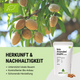 Bio Premium Mandelmehl 400 g