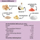 Limitierte Edition Bio Cashew-Himbeer-Creme