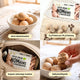 Coffee Dream NomNoms - Protein Bites – Bio, vegan mit Bio-Erythrit und Bio-Erbsenprotein