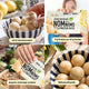 LIMITED EDITION Lemon Cheesecake NomNoms (Protein-Bites) – bio, vegan mit Bio-Erythrit und Bio Erbsenprotein