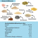 Bio Kernige Lower Carb Backmischung – glutenfrei, vegan, eiweiss- und ballaststoffreich